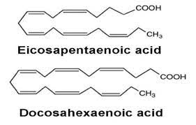 ایکوزاپنتانوئیک اسید و دوکوزاهگزانوئیک اسید